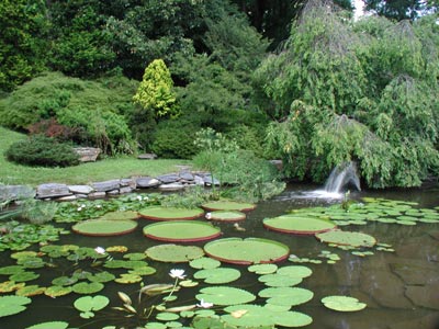 ../images/garden_pond.jpg