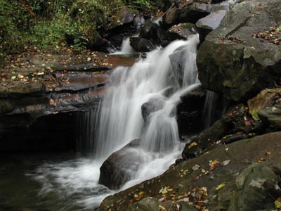 ../images/20_little_amicalola_creek.jpg