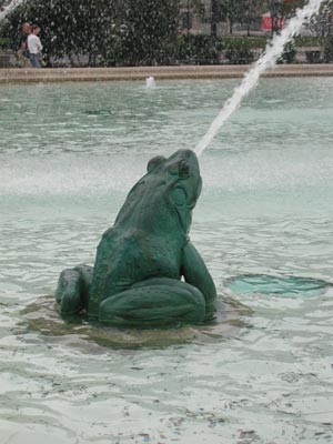 ../images/31_swannfountainfrog.jpg