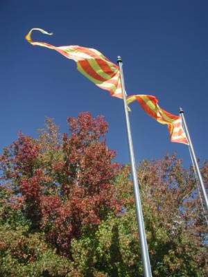 ../images/46_waterfrontflags.jpg