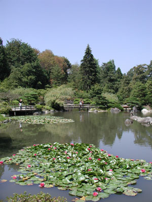 ../images/71_japanese_garden_west.jpg