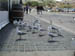 02_seagulls_hout_bay