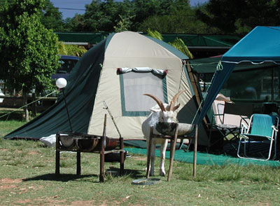 ../images/07_goat_braai.jpg