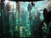 06_kelp_garden