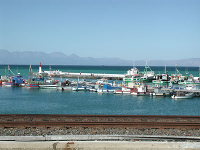 ../images/13_kalk_bay_boats.jpg