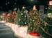 06_decorated_trees