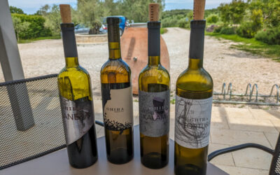 Europe Spring 2024: Istria wineries